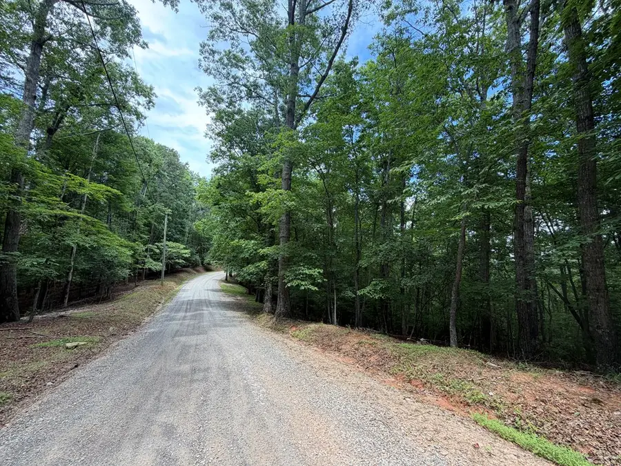 Lot 1049 Gateway Drive, Ellijay, GA 30540 - #2