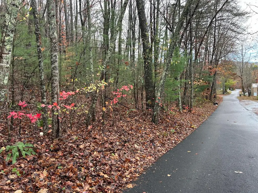 Lt12&13 Butternut Grove Road, Blairsville, GA 30512 - #1