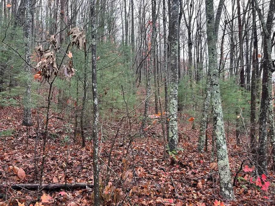 Lt12&13 Butternut Grove Road, Blairsville, GA 30512 - #2