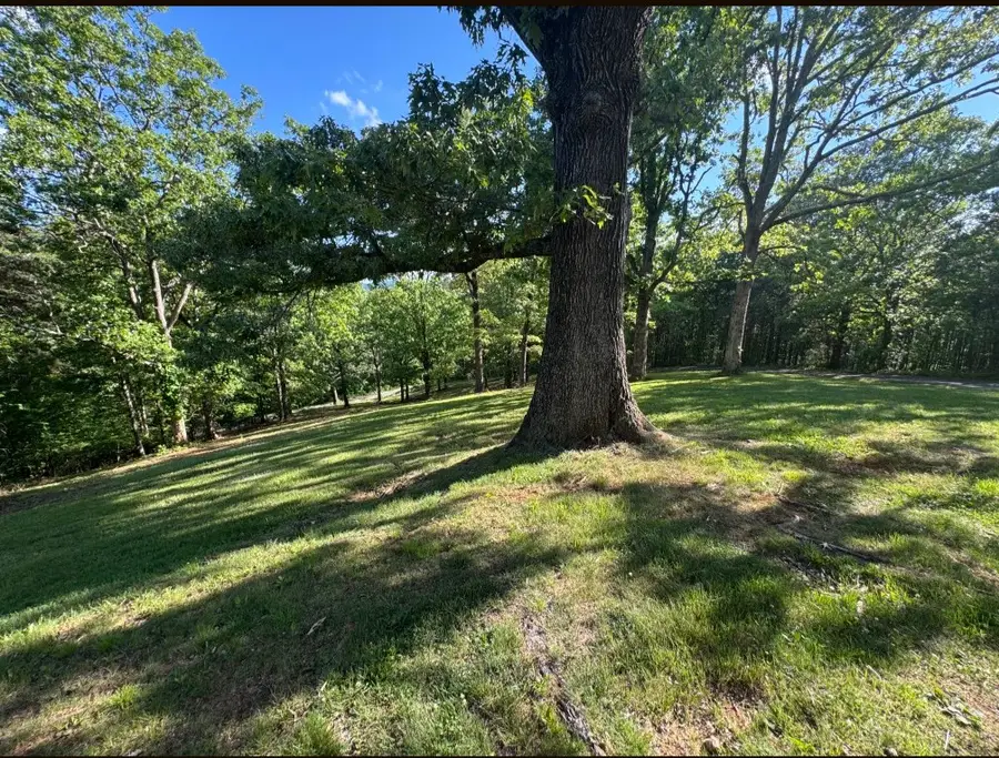 281 Pantertown Circle, Mineral Bluff, GA 30559 - #2