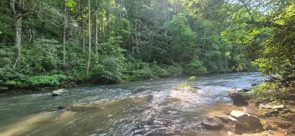 Lot 4 Roaring Forks Lane, Ellijay, GA 30540 - #1