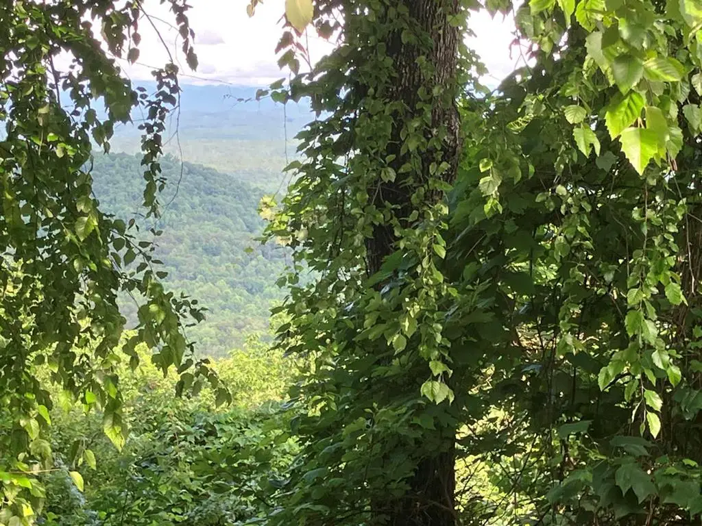 Lot 51 Buck Ridge Drive, Murphy, NC 28906 - #1