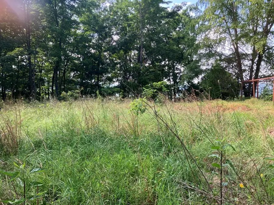 Lot 51 Buck Ridge Drive, Murphy, NC 28906 - #2