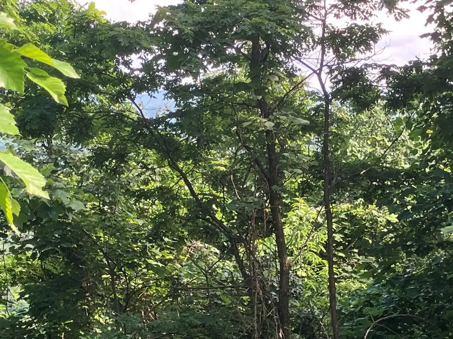 Lot 51 Buck Ridge Drive, Murphy, NC 28906 - #3