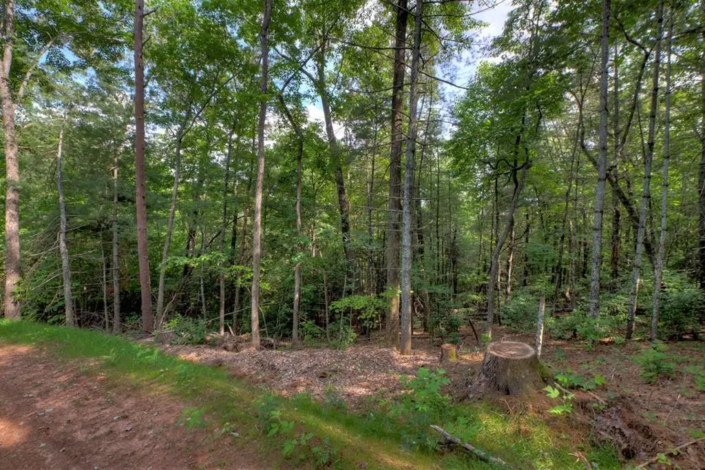 00 Sugar Creek Road, Blue Ridge, GA 30513 - #1