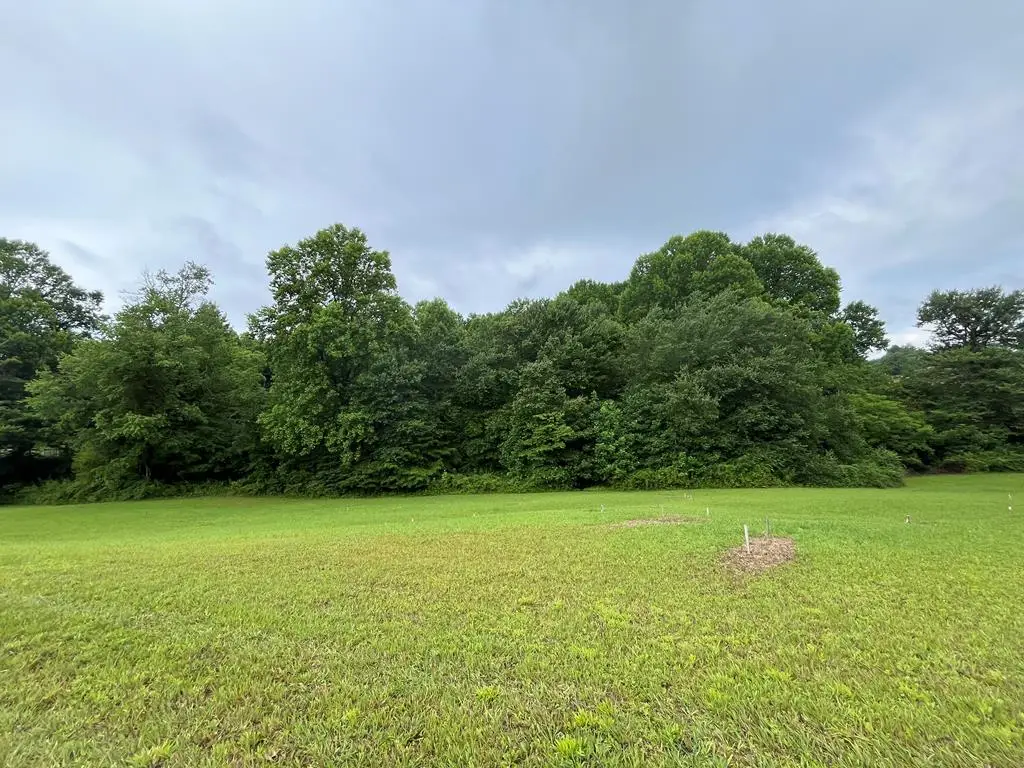 LOT 117 Owen Glen Drive, Blairsville, GA 30512 - #1