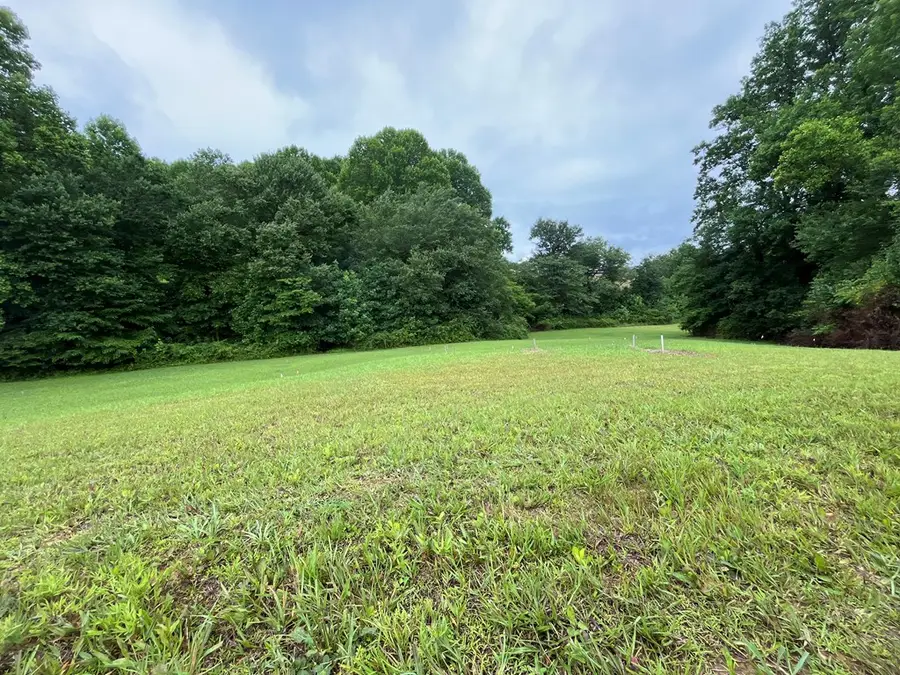 LOT 117 Owen Glen Drive, Blairsville, GA 30512 - #2