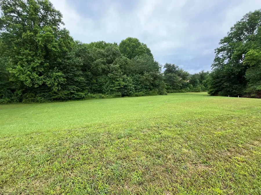 LOT 117 Owen Glen Drive, Blairsville, GA 30512 - #3