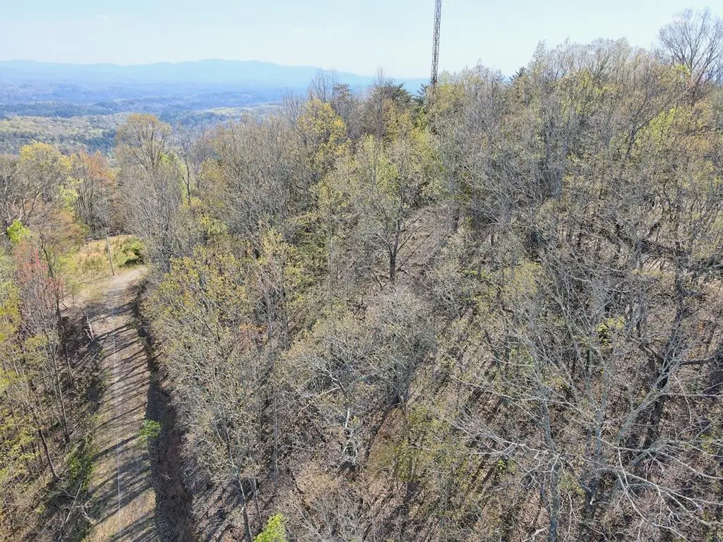 Lot 36 Moosilaukee Drive, Mineral Bluff, GA 30559 - #1