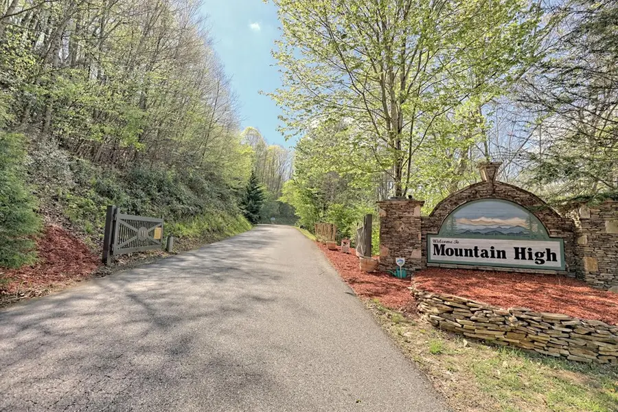 Lot 36 Moosilaukee Drive, Mineral Bluff, GA 30559 - #2