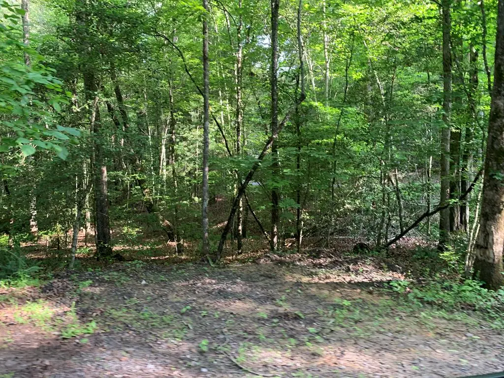 Lot 57 Rainy Farm Road, Murphy, NC 28906 - #1