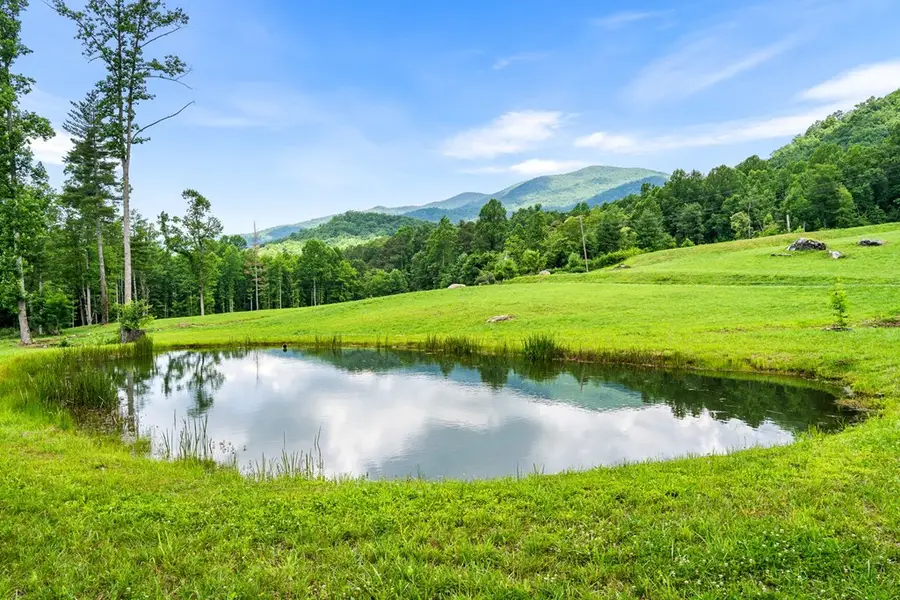 1446 Muskrat Creek Road, Hayesville, NC 28904 - #2