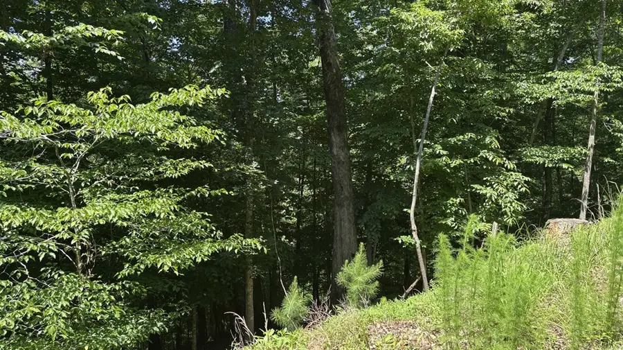 LOT 780 Omen Circle, Ellijay, GA 30540 - #3