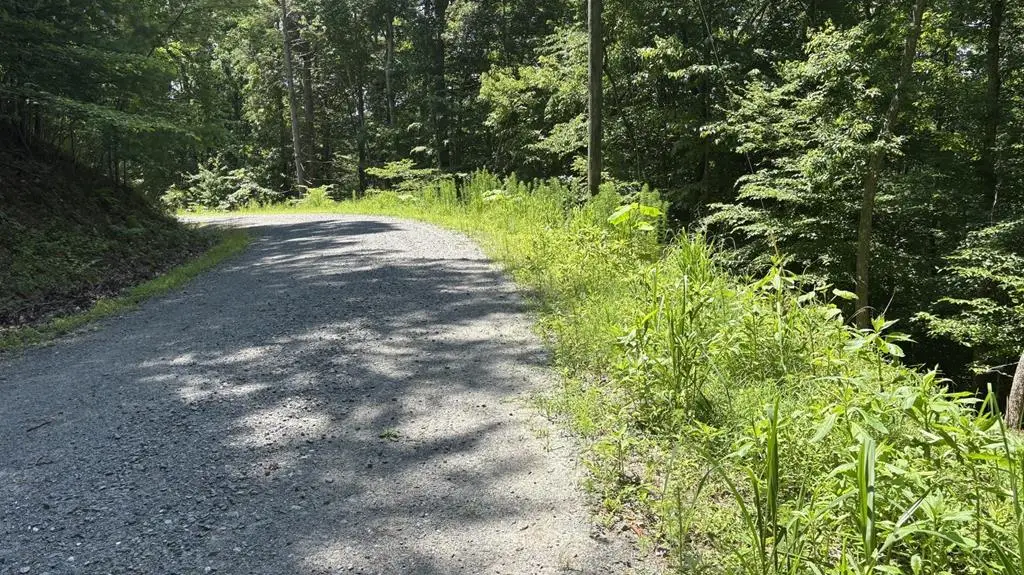 Lot 781 Omen Circle, Ellijay, GA 30540 - #1