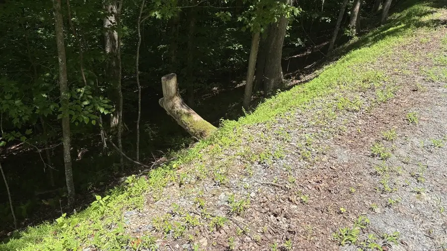 Lot 781 Omen Circle, Ellijay, GA 30540 - #2
