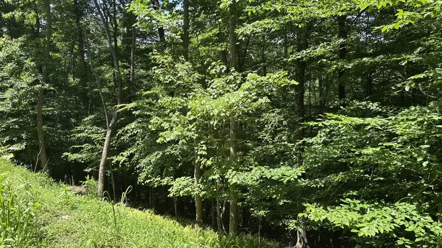 Lot 781 Omen Circle, Ellijay, GA 30540 - #3