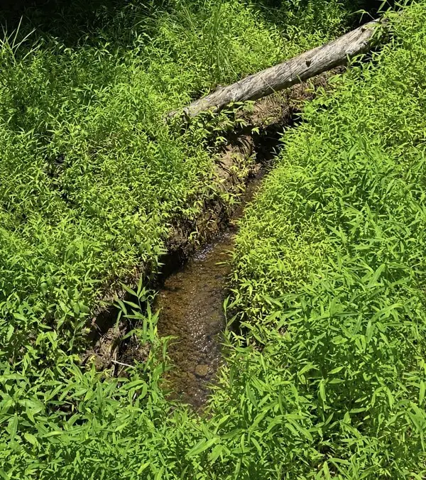 Lot 3469 Fir Lane, Ellijay, GA 30540