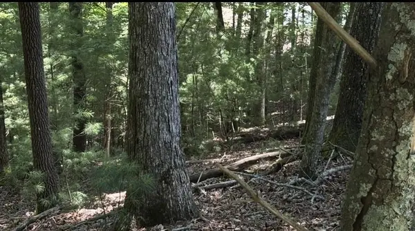 Lot 3662 Hannah Court, Ellijay, GA 30540