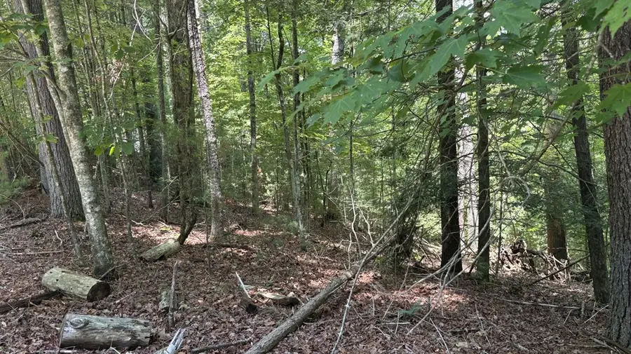 Lot 3662 Hannah Court, Ellijay, GA 30540 - #2