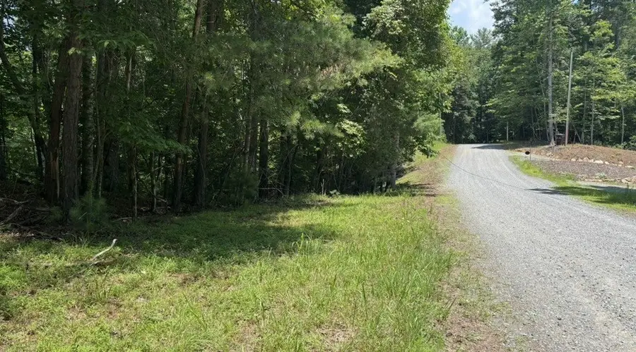 Lot 3662 Hannah Court, Ellijay, GA 30540 - #3