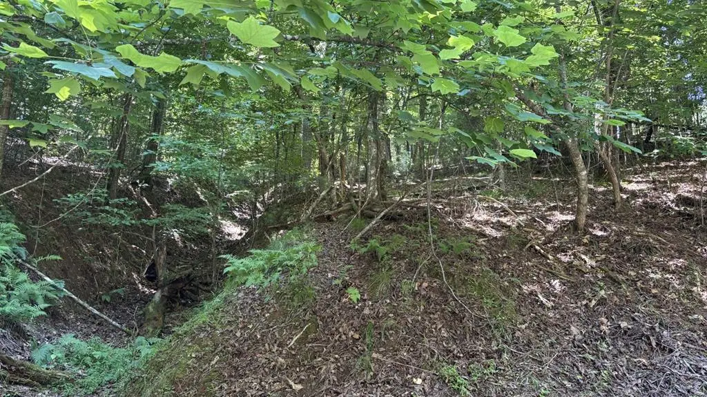Lot 1178 Optic Court, Ellijay, GA 30540 - #1
