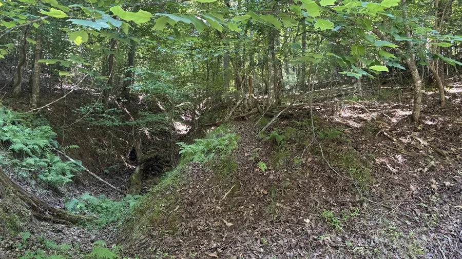 Lot 1178 Optic Court, Ellijay, GA 30540 - #2