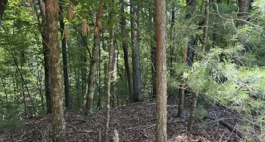 Lot 1178 Optic Court, Ellijay, GA 30540 - #3