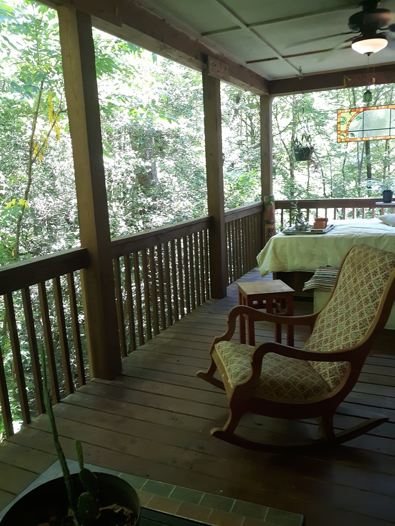 200 Artist Way, Brasstown, NC 20906 - #2