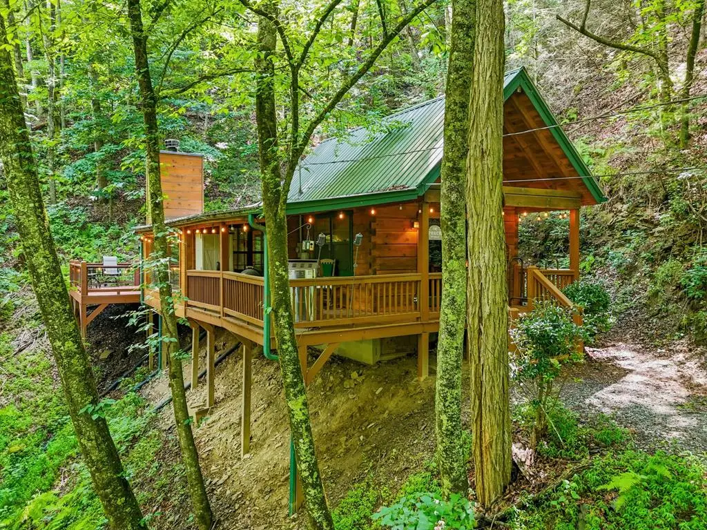 329 Laurel Ridge Drive, Blue Ridge, GA 30513 - #1