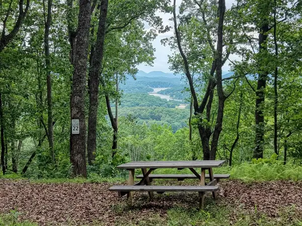 22 Buckhead Hills, Hiawassee, GA 30546