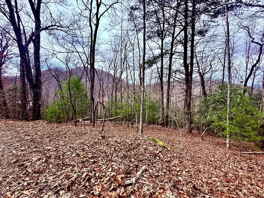 3.06 Ac Ridgeline Drive, Sweetwater, NC 29802 - #3