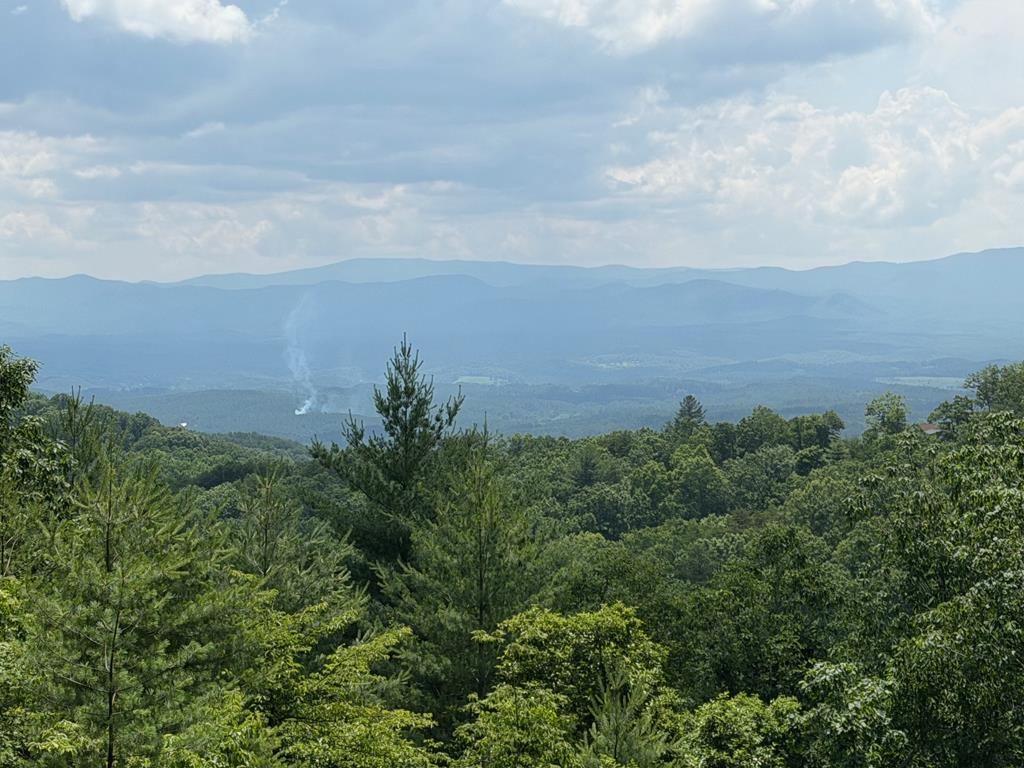 340 Lazy Country Cove Road, Hothouse, NC 29806 - #1