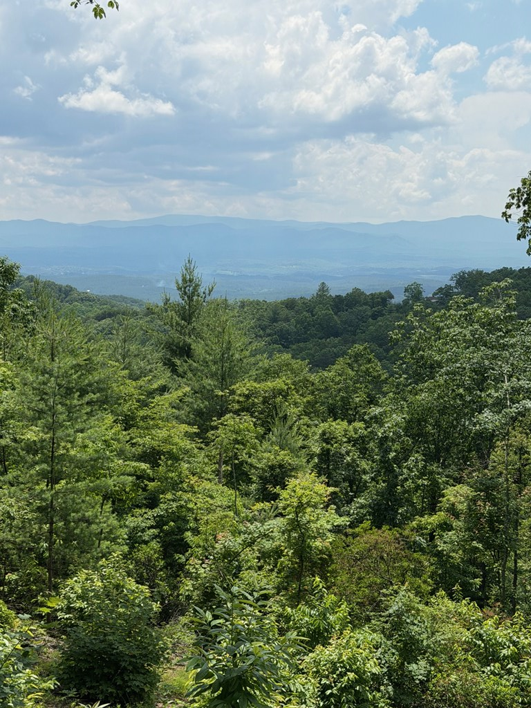 340 Lazy Country Cove Road, Hothouse, NC 29806 - #2