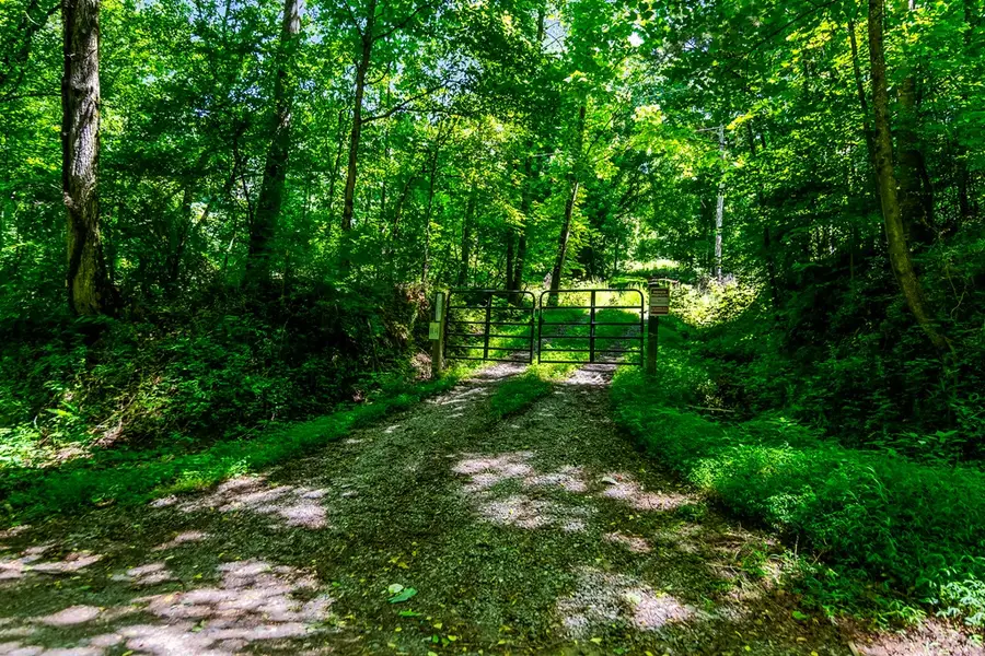 773 Fairview Road, Jasper, GA 30143 - #2