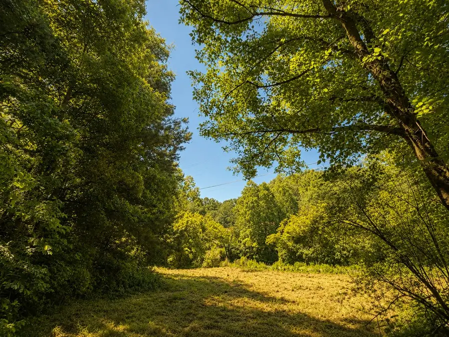 773 Fairview Road, Jasper, GA 30143 - #3