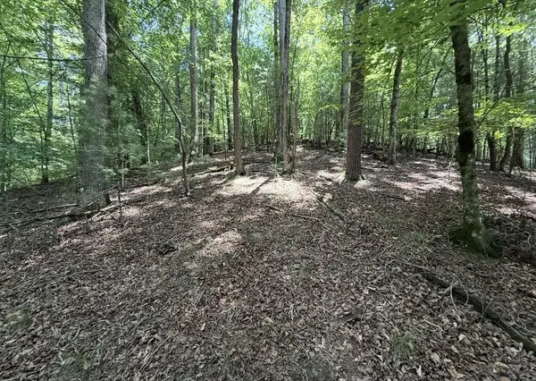 Lot 2607 Magnet Court, Ellijay, GA 30540