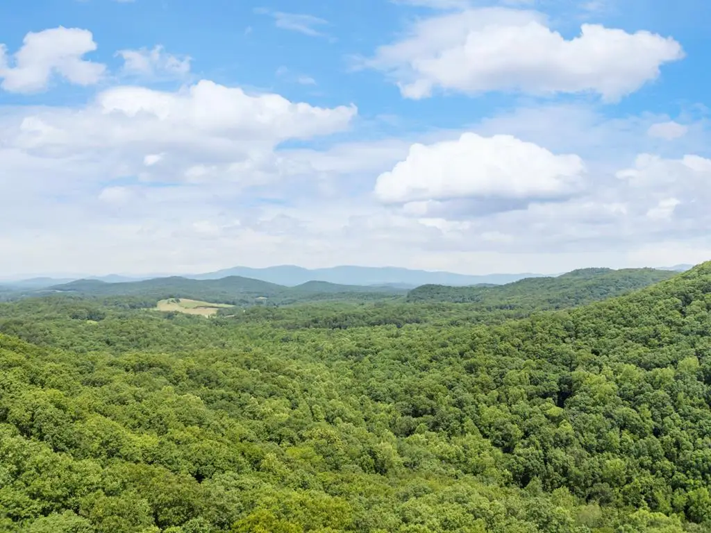 57.64 ac Mountain Ash Road, Ellijay, GA 30536 - #1