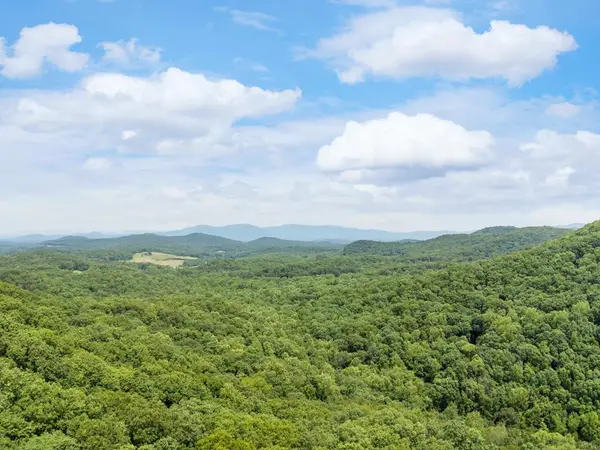 57.64 ac Mountain Ash Road, Ellijay, GA 30536