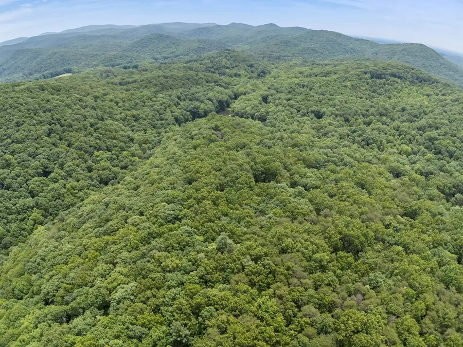 57.64 ac Mountain Ash Road, Ellijay, GA 30536 - #3
