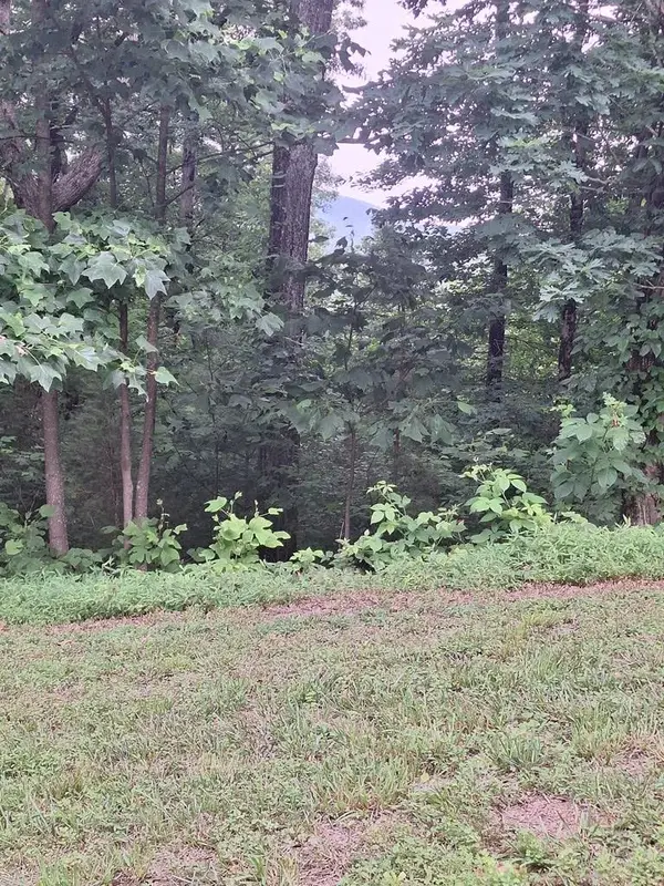 274 Andes Ridge, Morganton, GA 30560