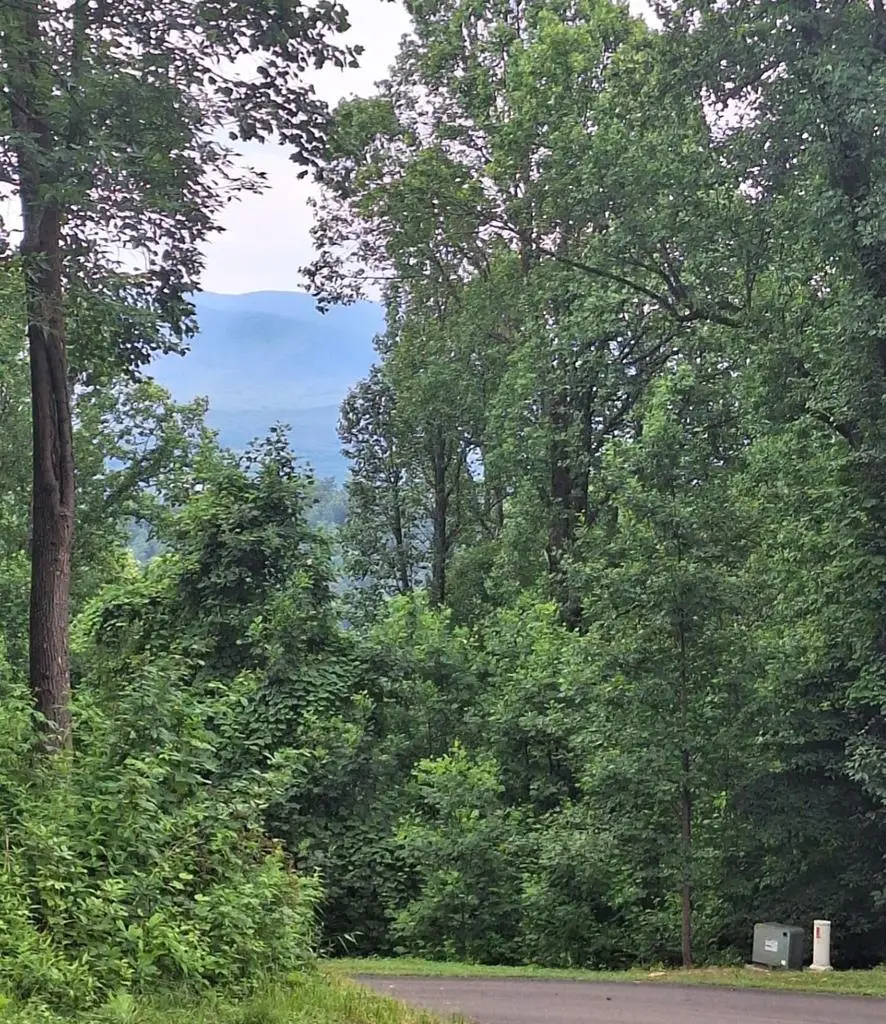 274 Andes Ridge, Morganton, GA 30560 - #2