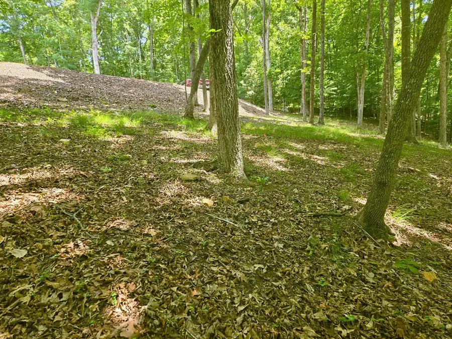 Tr 2 & 3 Settlement Road, Young Harris, GA 30582 - #3