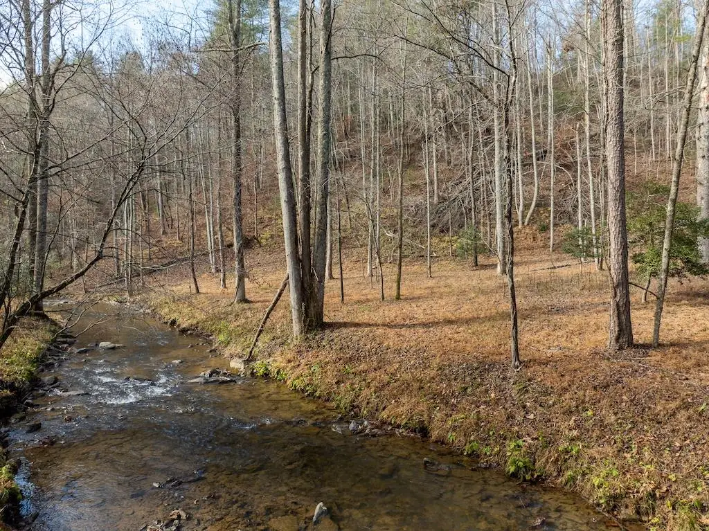 780 Banks Road, Ellijay, GA 30540 - #1