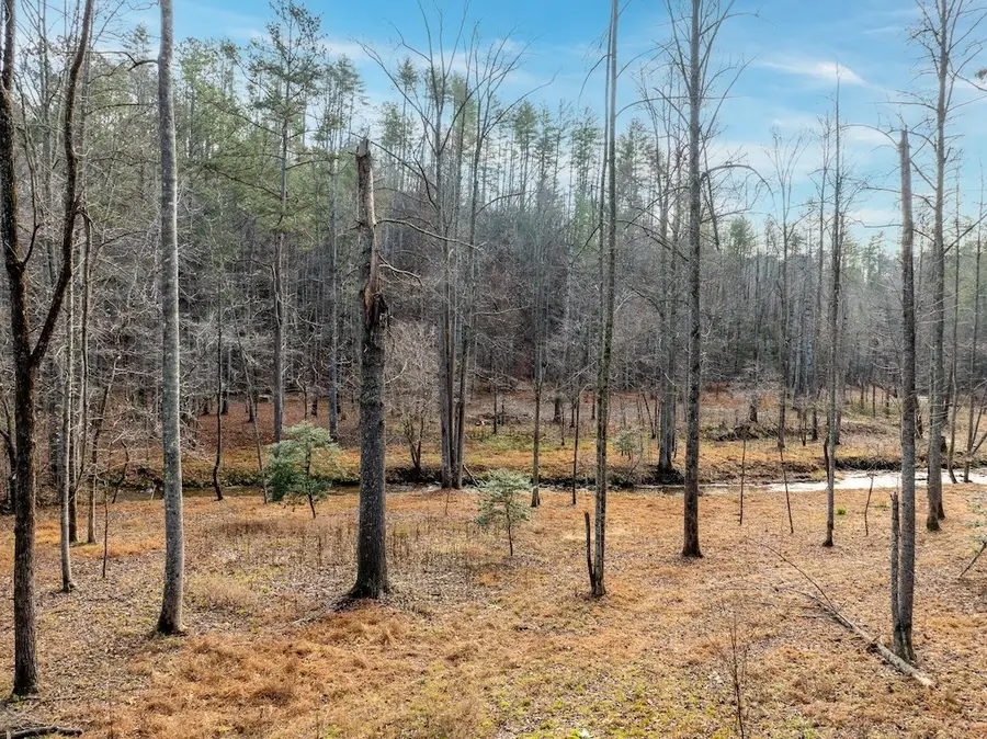 780 Banks Road, Ellijay, GA 30540 - #2