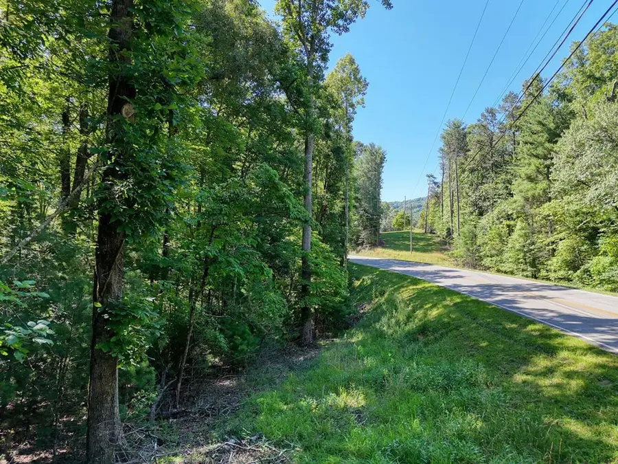LT 8A&B Lake Breeze Lane, Blairsville, GA 30512 - #2