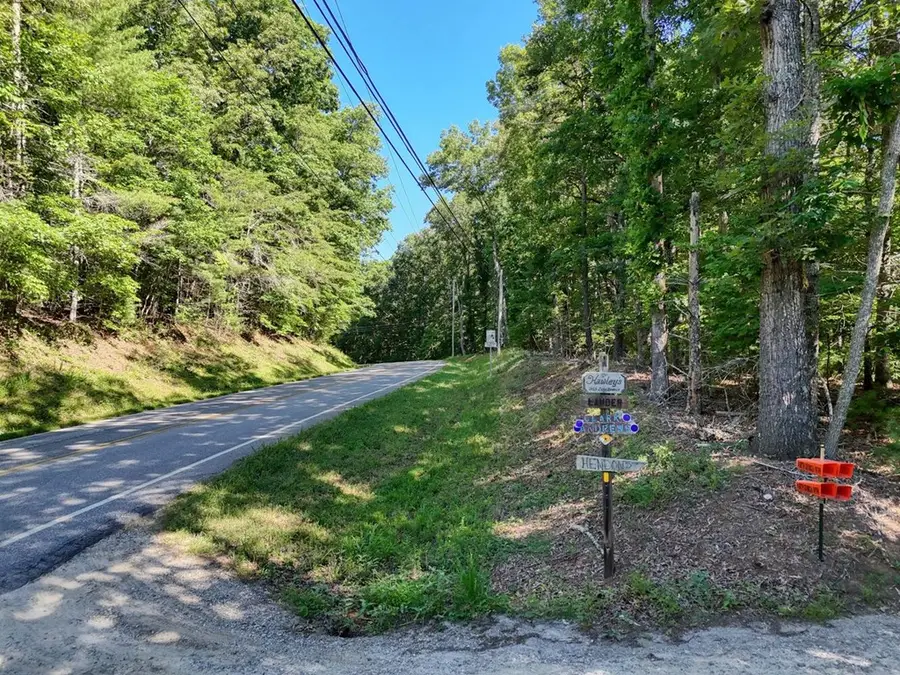 LT 8A&B Lake Breeze Lane, Blairsville, GA 30512 - #3