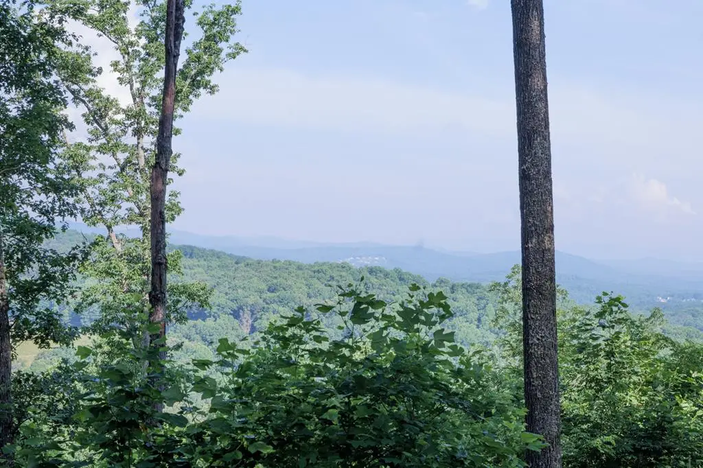90 Winding Ridge, Blairsville, GA 30512 - #1