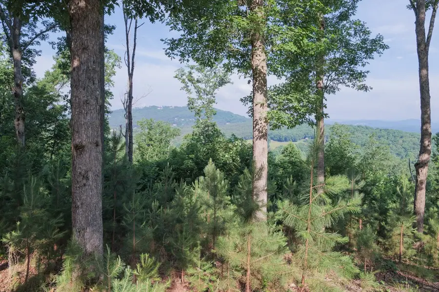90 Winding Ridge, Blairsville, GA 30512 - #3