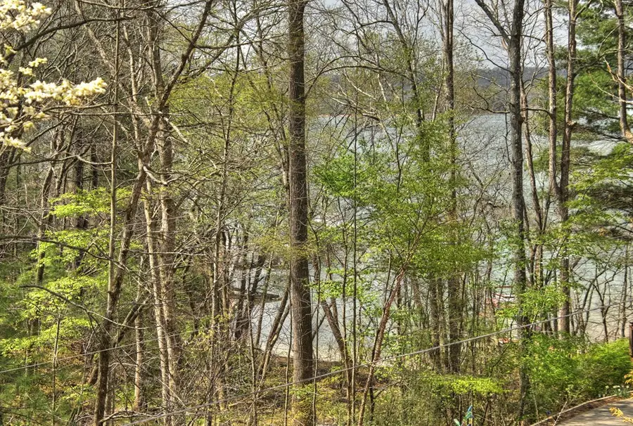 32 Lake Front, Morganton, GA 30560 - #3