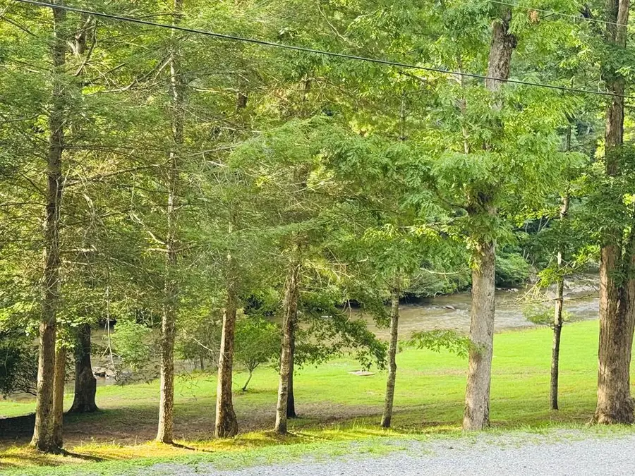 603 Ashley Drive, Ellijay, GA 30540 - #3